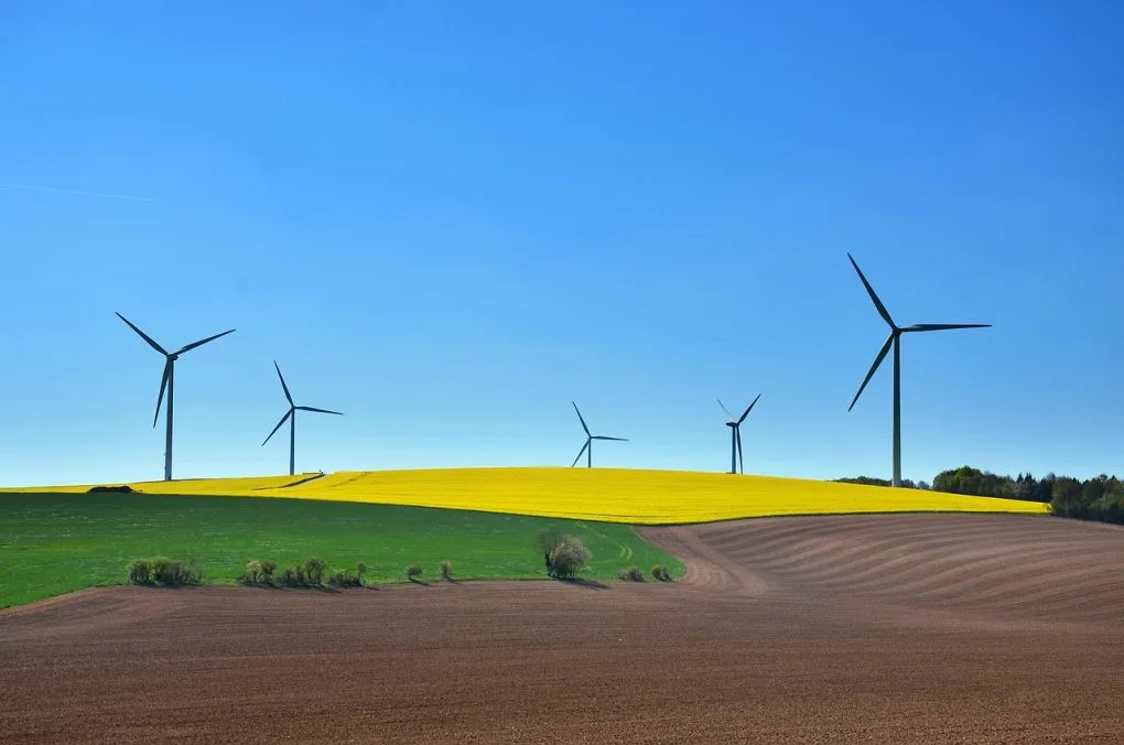 Sustainable Construction: Building for a Better Future